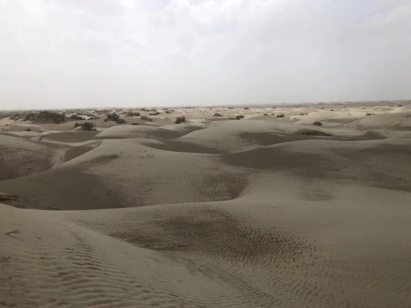 鑒定意見的直接證據效力范圍如何？上海刑事官司律師來回答