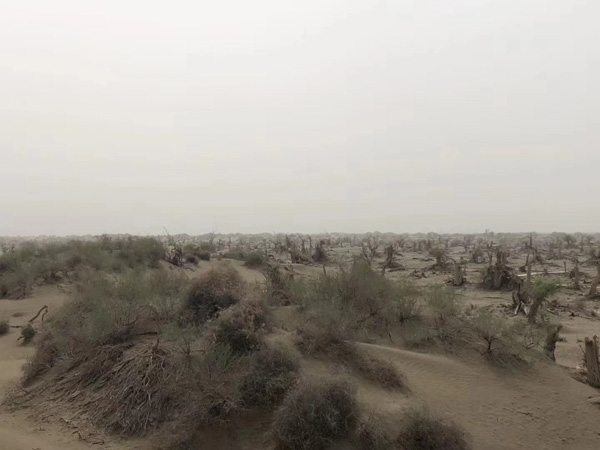 正義終至！上海資深刑事律師為您講解黑惡犯罪的法庭判決