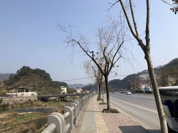 網上購物商城運營半年傳銷層級達46層！上海刑事律師咨詢網帶您了解