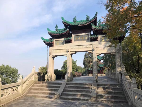 逃稅罪的審查應該如何進行？徐匯刑事律師以案說法帶您了解