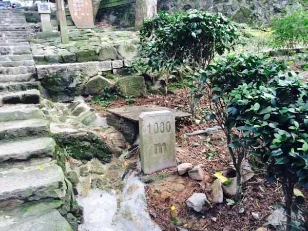 偷稅行為已過訴訟時效該如何處理？上海刑事案件律師為您解答