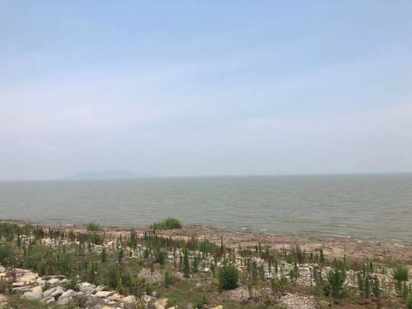 如何認(rèn)定參加黑社會性質(zhì)組織罪中的參加行為？上海刑事犯罪律師來回答