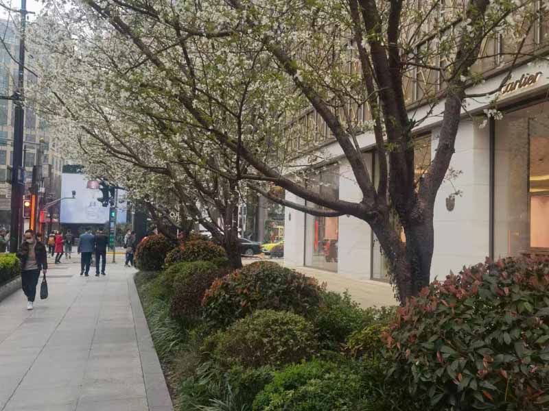 上海刑事會見律師為你講解哪些情況下國民檢察院能夠提起附帶民事訴訟？