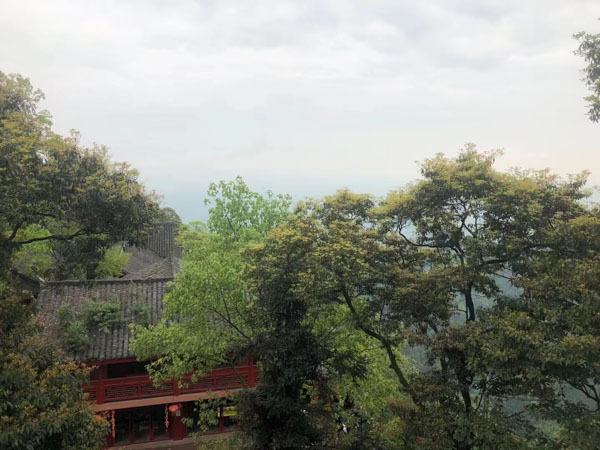 刑事訴訟的證明標準是怎樣的？上海刑事律師帶您了解