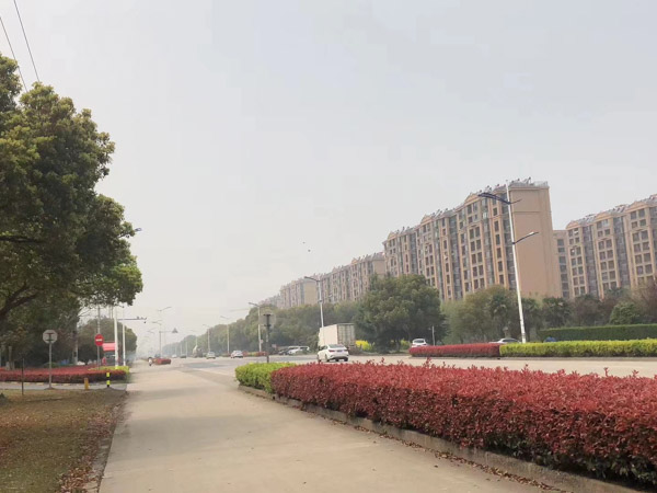 貪污案適用減輕處罰情節(jié)能否減至免予刑事處罰？上海刑事專業(yè)律師來回答