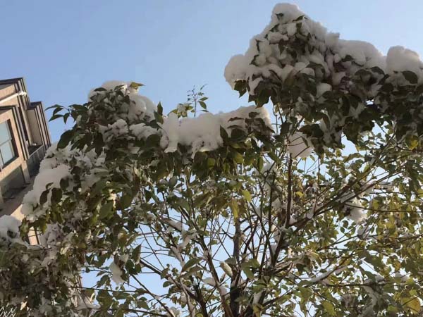 上海刑事律師為您解答如何避免成為高利轉貸罪的幫兇