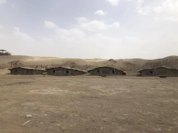 上海擅長刑事律師來講講以出售為目的盜挖價值數額較大的行道樹如何定性