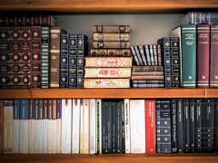 兒子兒媳同樣五年刑期會一起出獄嗎