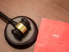 上海靜安職務侵占罪對股東身份要求律師咨詢