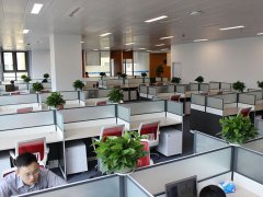 上海民事二審改判程序有哪些規定