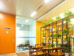 上海經濟犯罪屬于什么犯罪