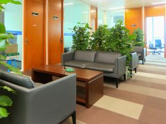 上海刑事辯護(hù)律師回答：上海減刑最多可以減幾