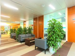 <b>上海醉駕律師解讀：醉駕拘留，到底是行政還是刑事？</b>